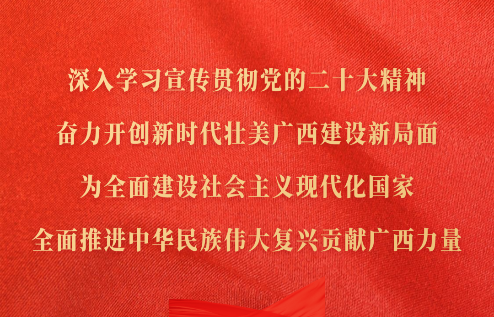 深入學(xué)習(xí)宣傳貫徹黨的二十大精神，奮力開(kāi)創(chuàng)新時(shí)代壯美廣西建設(shè)新局面，為全面建設(shè)社會(huì)主義現(xiàn)代化國(guó)家、全面推進(jìn)中華民族偉大復(fù)興貢獻(xiàn)廣西力量